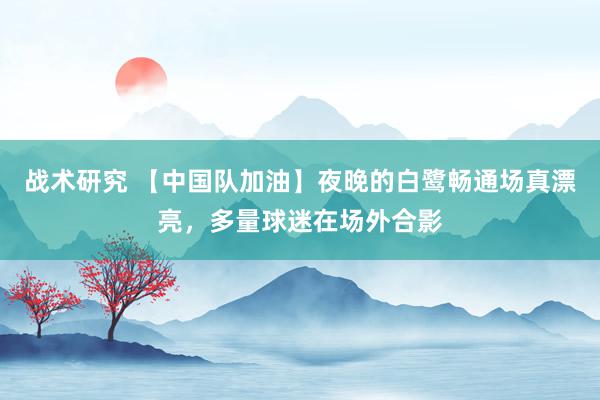 战术研究 【中国队加油】夜晚的白鹭畅通场真漂亮，多量球迷在场外合影