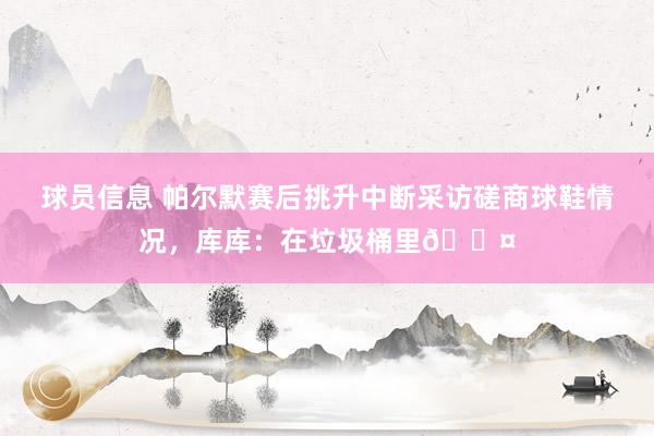 球员信息 帕尔默赛后挑升中断采访磋商球鞋情况，库库：在垃圾桶里😤