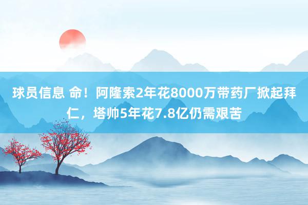 球员信息 命！阿隆索2年花8000万带药厂掀起拜仁，塔帅5年花7.8亿仍需艰苦