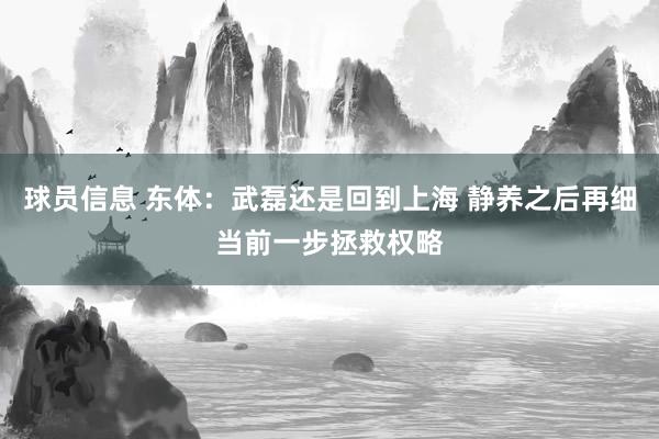 球员信息 东体：武磊还是回到上海 静养之后再细当前一步拯救权略