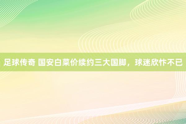 足球传奇 国安白菜价续约三大国脚，球迷欣忭不已