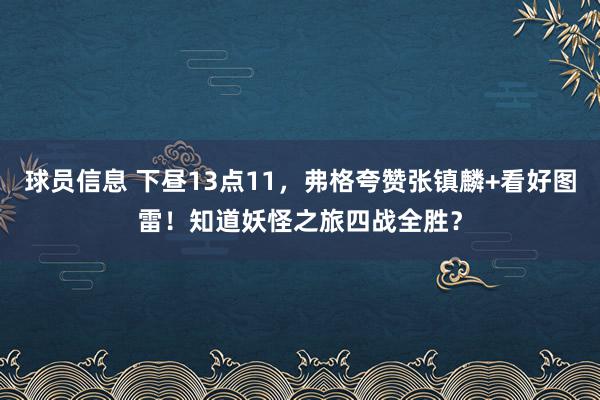 球员信息 下昼13点11，弗格夸赞张镇麟+看好图雷！知道妖怪之旅四战全胜？